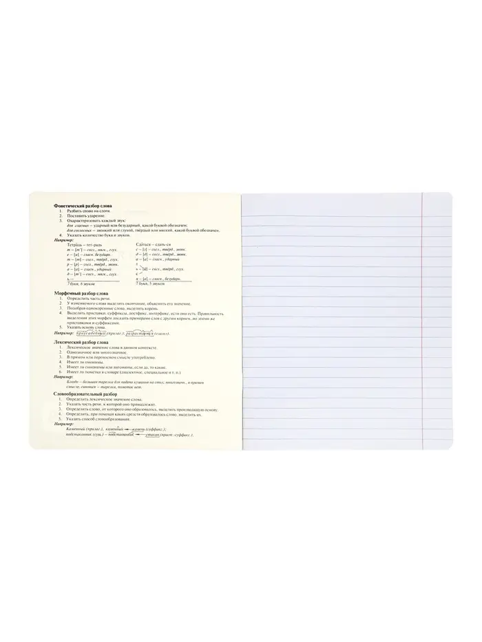 Комплект 12 предметных тетрадей 48 листов, справочная информация, 60гр, Стиль 2026