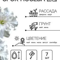 Семена цветов Петуния &laquo;Афродита&raquo;, F1, белая, крупноцветковая, 7 шт., &laquo;Аэлита&raquo;
