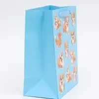 Пакет подарочный «Милые пёсики», MS 18 × 23 × 10 см Пакет подарочный «Милые пёсики», MS 18 × 23 × 10 см