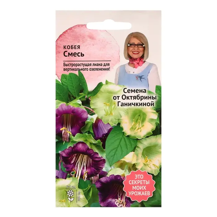 Семена цветов Кобея  Семена цветов Кобея "смесь", 5 шт