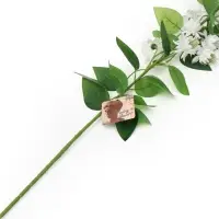 Цветы искусственные "Клематис Эллен" d-5 см 96 см, белый