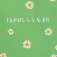 Пакет подарочный "Ромашки - обнимашки" ламинированный 18 х 22,3 х 10 см