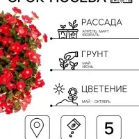 Семена цветов Петуния &laquo;Минибелло розовая с глазком&raquo;, многоцветковая F1, 5 шт., Farao, &laquo;АЭЛИТА&raquo;