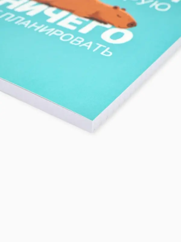 Ежедневник А5, 64 листа в точку, мягкая обложка "Капибара"