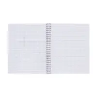 Набор тетрадей Calligrata &laquo;Аниме. Девочка с котом&raquo;, 3 штуки, 96 листов, на гребне, обложка из мелованного картона