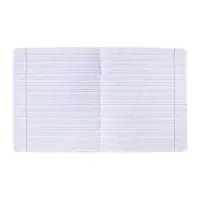 Тетрадь 12 листов в косую линейку ErichKrause «Классика Visio», обложка мелованный картон, зелёная Тетрадь 12 листов в косую линейку ErichKrause «Классика Visio», обложка мелованный картон, зелёная