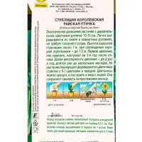 Семена цветов Стрелиция королевская Райская птичка Мн Золотая серия, Ц/П,3 шт. Семена цветов Стрелиция королевская Райская птичка Мн Золотая серия, Ц/П,3 шт.