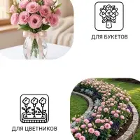 Семена цветов Эустома махровая "Велюр", розовая, F1, в ампуле, 0,005 г.