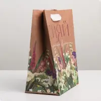 Пакет подарочный крафтовый, упаковка, &laquo;Сияй&raquo;, MS 18&times;23&times;8 см