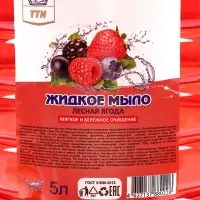 Мыло жидкое TITAN &laquo;Лесные ягоды&raquo;, 5 л