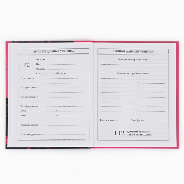 Дневник школьный 1-4 класса, в твердой обложке, 48 л &laquo;Аниме девушка&raquo;