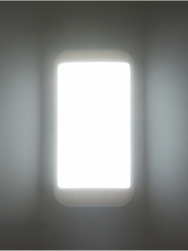 Светильник "Минимал" прямоугольник LED 10Вт 3000К (быстросъемный механизм) белый 5х12х24см   1077725