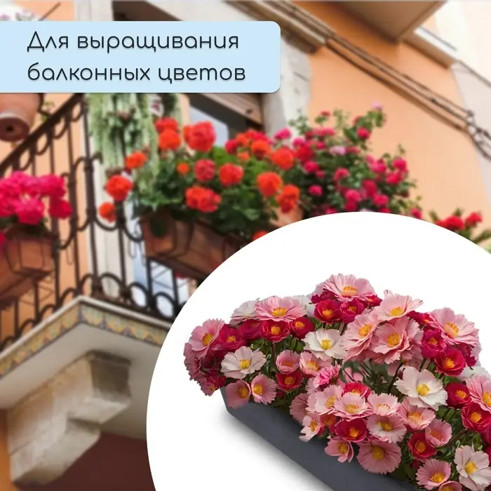 Ящик для рассады, 36 × 14 × 9 см, 3 л, пластик, чёрный Ящик для рассады, 36 × 14 × 9 см, 3 л, пластик, чёрный