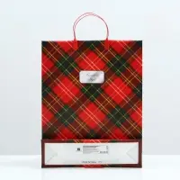 Пакет "Шотландия", мягкий пластик, 40 x 32 см, 120 мкм Пакет "Шотландия", мягкий пластик, 40 x 32 см, 120 мкм