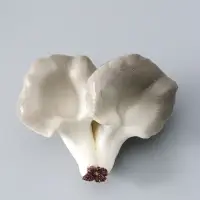 Муляж "Грибы вешенки" 14х10,5 см, бело-серый