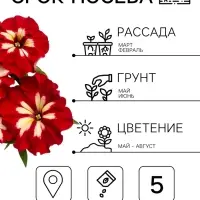 Семена цветов Петуния &laquo;Арлекин Роза&raquo; F1, крупноцветковая, драже, С. Farao, 5 шт.