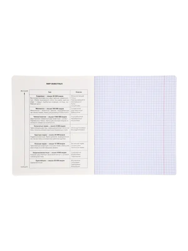 Комплект 12 предметных тетрадей 48 листов, справочная информация, 60гр, пластиковая обложка   109633