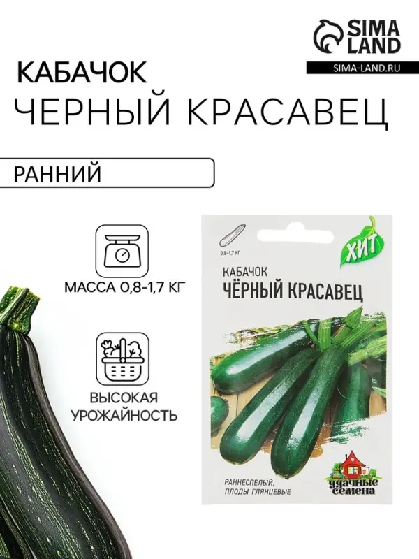 Семена Кабачок &laquo;Черный красавец&raquo;, 1.5 г, раннеспелый, &laquo;Удачные семена&raquo;