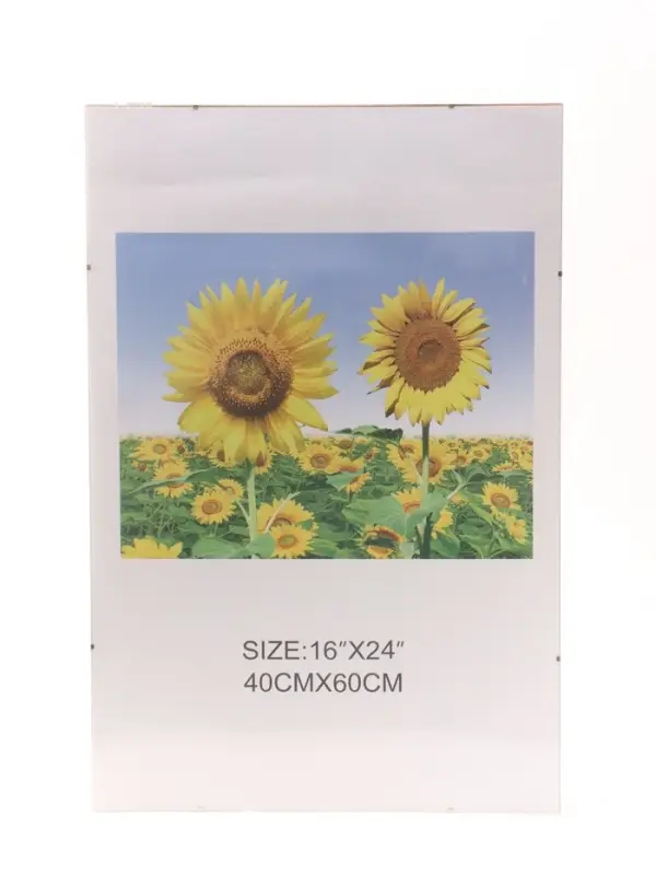 Фоторамка прозрачная для фото 40&times;60 см, &laquo;Клип&raquo;, пластиковый экран