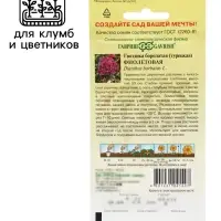 Семена гвоздика &laquo;Фиолетовая&raquo;, 0.1 г