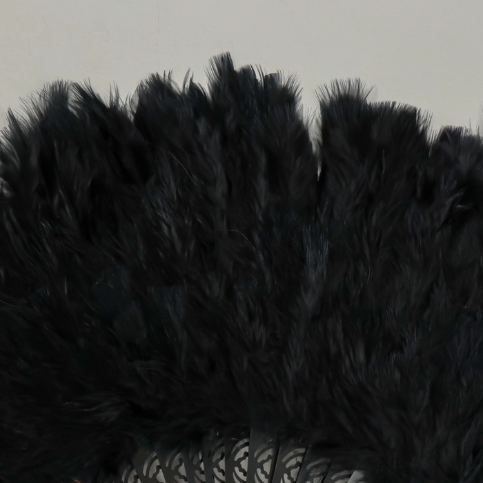 Веер пластик, перо  Веер пластик, перо "Чёрный" h=26 см 25 лопастей 3х50х26 см