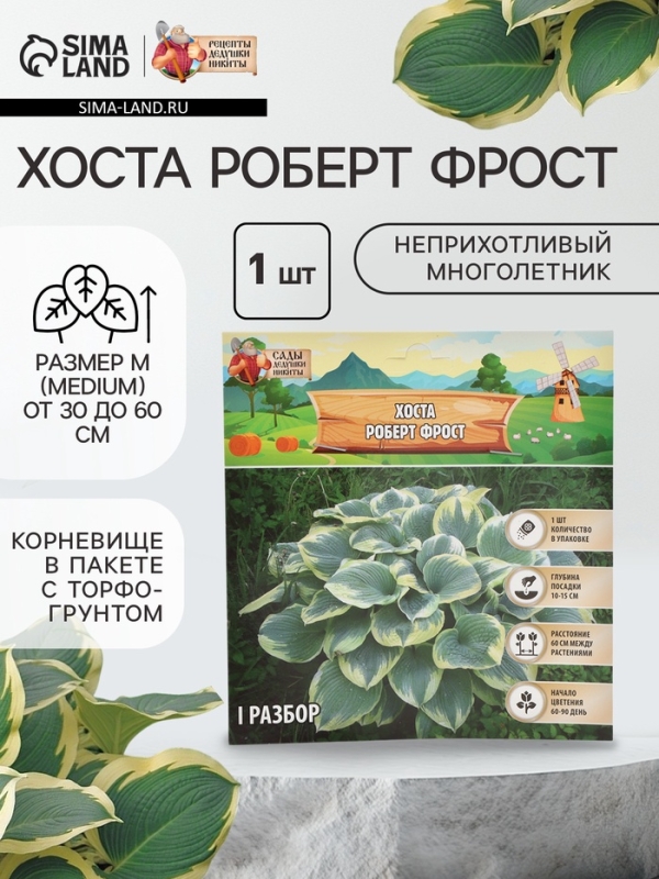 Хоста «Роберт Фрост», корневище в пакете с торфогрунтом, р-р I, 1 шт.