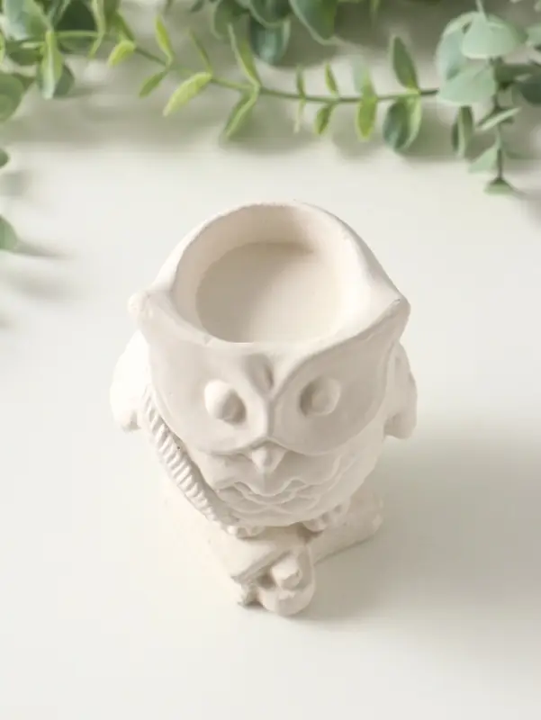 Подставка для мелочей &laquo;Сова на книгах с пером&raquo;, 10&times;8 см, гипс