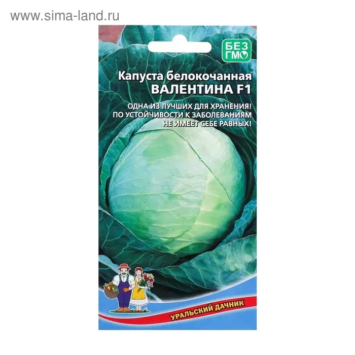 Семена Капуста белокочанная Семена Капуста белокочанная "Валентина F1" поздний,кочан 3,5-5 кг,очень плотный 0,1 г