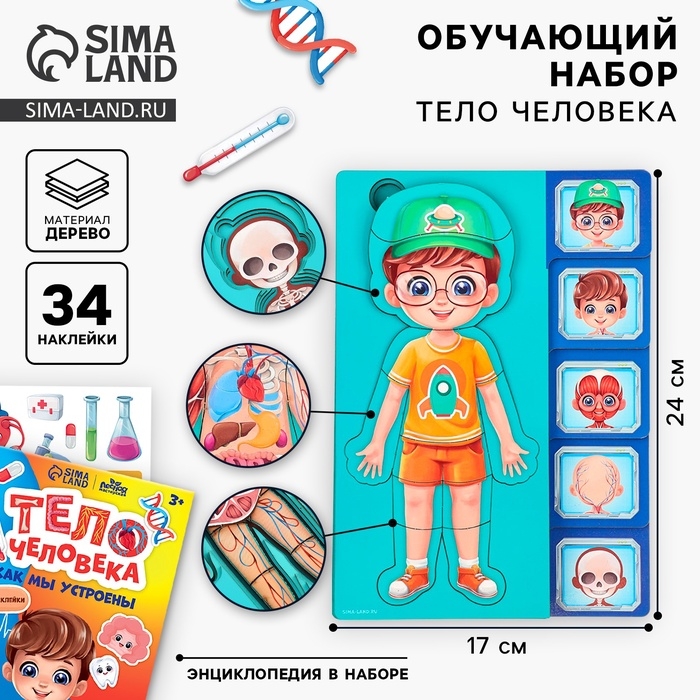 Обучающий набор «Тело человека», рамка-вкладка и книга с наклейками Обучающий набор «Тело человека», рамка-вкладка и книга с наклейками