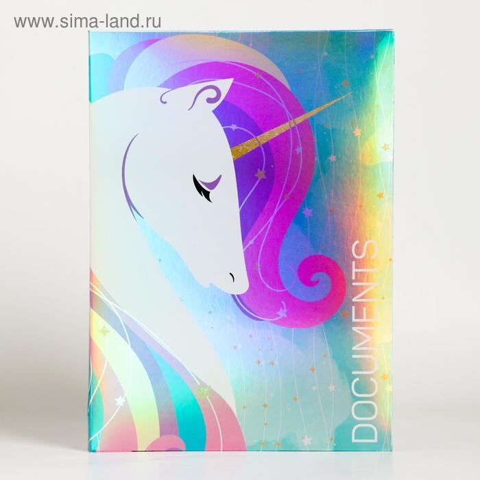 Папка для документов &laquo;Documents&raquo;, 14 файлов, 4 комплекта, А4