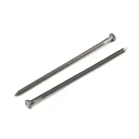 Гвозди ТУНДРА, строительные, ГОСТ 4028-63, без покрытия, 5&times;150 мм, фасовка 1 кг