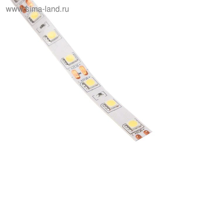 Светодиодная лента Ecola PRO 5 м, IP20, SMD5050, 60 LED/м, 14.4 Вт/м, 12 В, 6000К Светодиодная лента Ecola PRO 5 м, IP20, SMD5050, 60 LED/м, 14.4 Вт/м, 12 В, 6000К