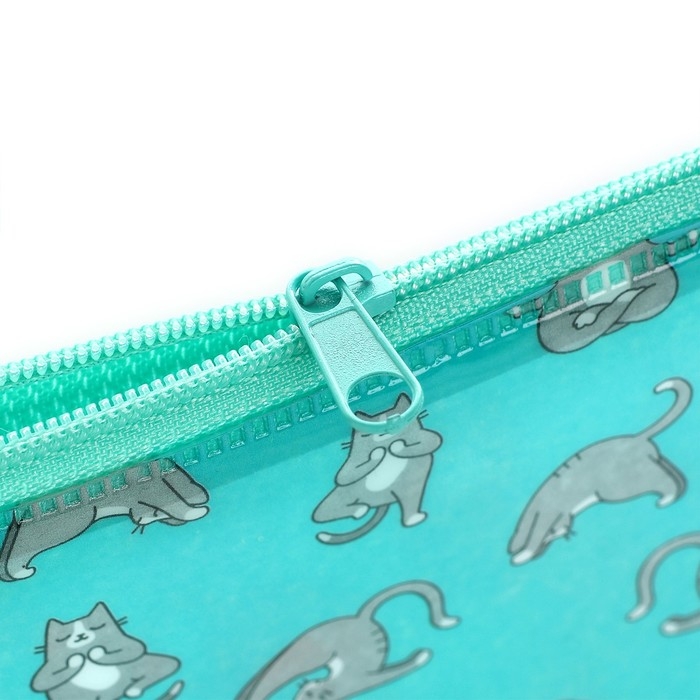 Пенал школьный мягкий плоский 9,5 х 20,5 ПВХ «1 сентября: Пупсики» МИКС Пенал школьный мягкий плоский 9,5 х 20,5 ПВХ «1 сентября: Пупсики» МИКС