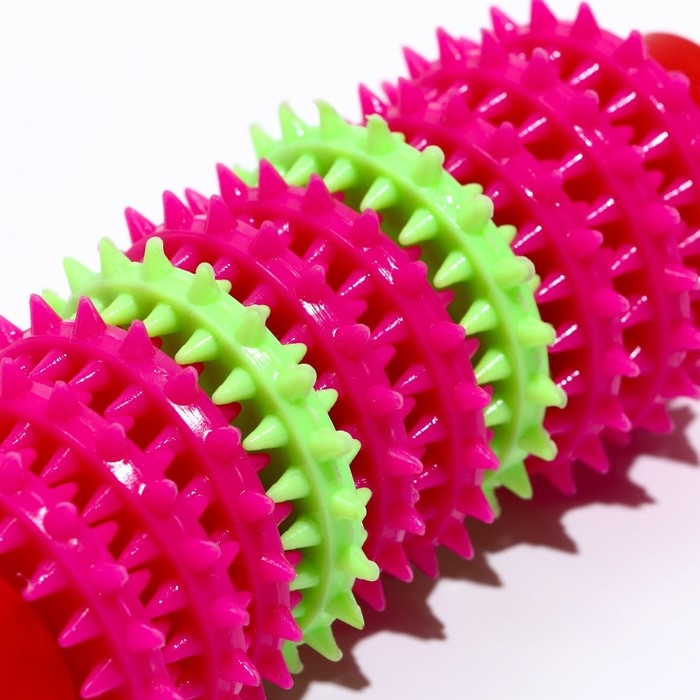 Игрушка жевательная 15,5 х 5,5 см, красная/розовая/зелёная Игрушка жевательная 15,5 х 5,5 см, красная/розовая/зелёная