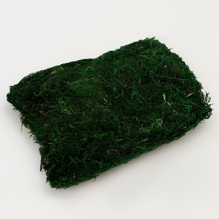 Мох для декора, 80 г, размер: 3 × 20 × 15 см Мох для декора, 80 г, размер: 3 × 20 × 15 см