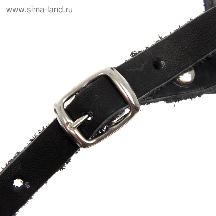 Намордник кожаный сетчатый с перемычкой №1, малый боксёр (дл по носу 7см, обхват морды 23см), 161347 Намордник кожаный сетчатый с перемычкой №1, малый боксёр (дл по носу 7см, обхват морды 23см), 161347