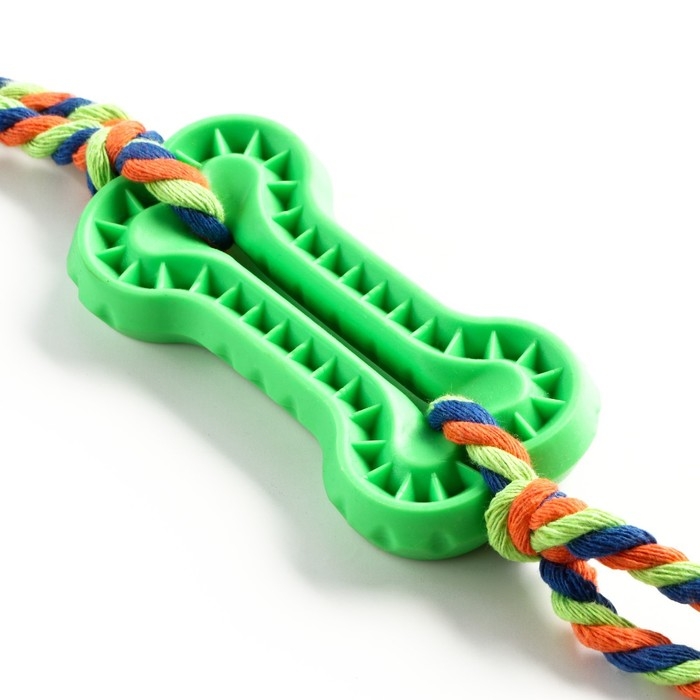Игрушка жевательная с канатом, 11 х 5,5 см, зелёная Игрушка жевательная с канатом, 11 х 5,5 см, зелёная
