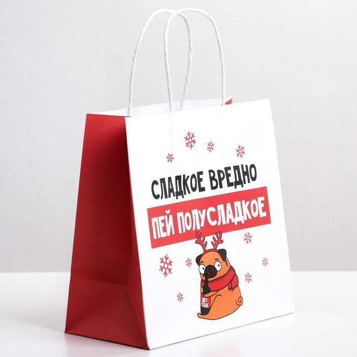 Пакет подарочный новогодний «Сладкое вредно», 22 х 22 х 11 см, Новый год Пакет подарочный новогодний «Сладкое вредно», 22 х 22 х 11 см, Новый год