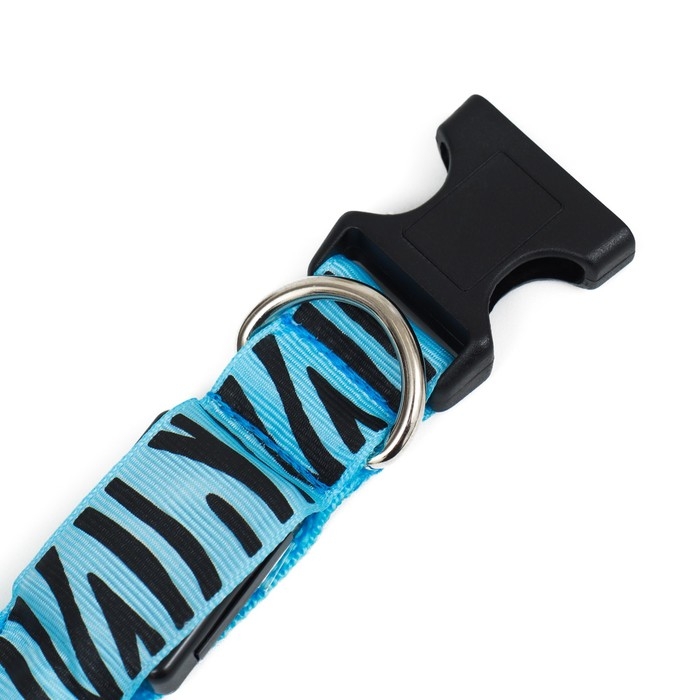 Ошейник с подсветкой Тигр 3 режима свечения, размер L, ОШ 48-60 х 2,5 см синий Ошейник с подсветкой Тигр 3 режима свечения, размер L, ОШ 48-60 х 2,5 см синий