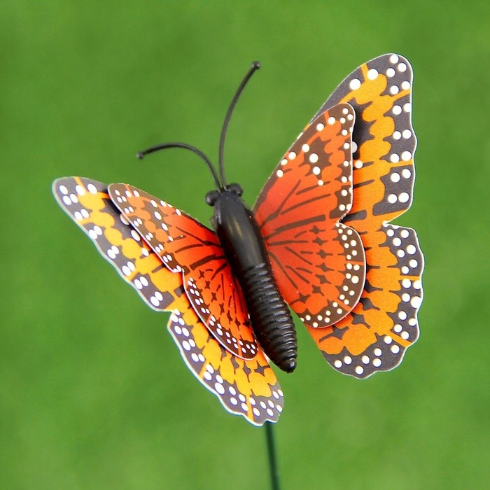 Штекер Штекер "Бабочка Дельфиус" 25см, набор 6шт, МИКС