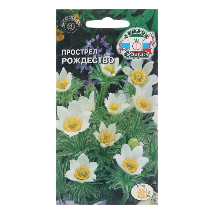 Семена цветов Прострел Семена цветов Прострел "Рождество", Евро, 0,1 г