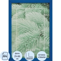 Рамка 21х30см деревянная, профиль №2, цвет 'синий'