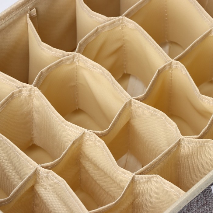 Органайзер для хранения белья с прозрачной крышкой Доляна «Тео», 24 ячеек, 32×23×12 см, цвет серый Органайзер для хранения белья с прозрачной крышкой Доляна «Тео», 24 ячеек, 32×23×12 см, цвет серый