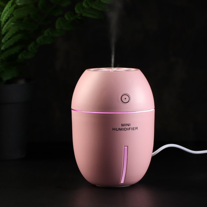 Увлажнитель воздуха Luazon LHU-09, ультразвуковой, 180 мл, 2 Вт, портативный, USB, МИКС Увлажнитель воздуха Luazon LHU-09, ультразвуковой, 180 мл, 2 Вт, портативный, USB, МИКС