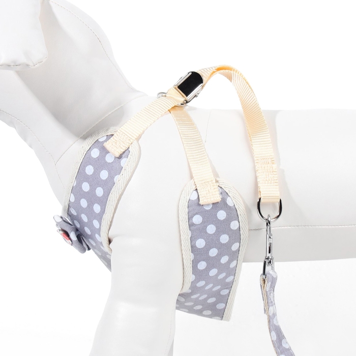 Комплект с мягкой шлейкой  Комплект с мягкой шлейкой "Горох", размер L, поводок 120 х 1,5 см, ОГ 42-76 см, серый