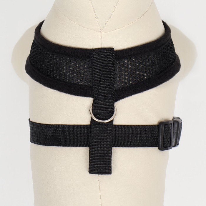 Шлейка мягкая из неопрена, размер L, ОШ 39 см, ОГ 36-46 см, чёрная Шлейка мягкая из неопрена, размер L, ОШ 39 см, ОГ 36-46 см, чёрная