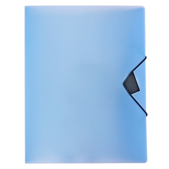 Папка с 60 вкладышами А4, 700 мкм, Calligrata TOP Breeze, на резинке, небесный, тиснение Папка с 60 вкладышами А4, 700 мкм, Calligrata TOP Breeze, на резинке, небесный, тиснение "под кожу"