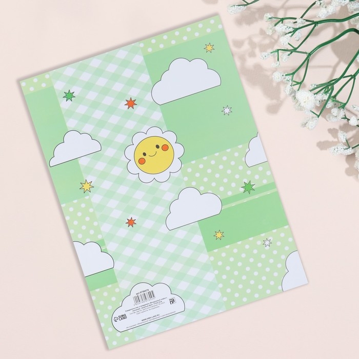 Свидетельство о рождении Свидетельство о рождении "Воздушные шары" тиснение, зеленый фон, А4