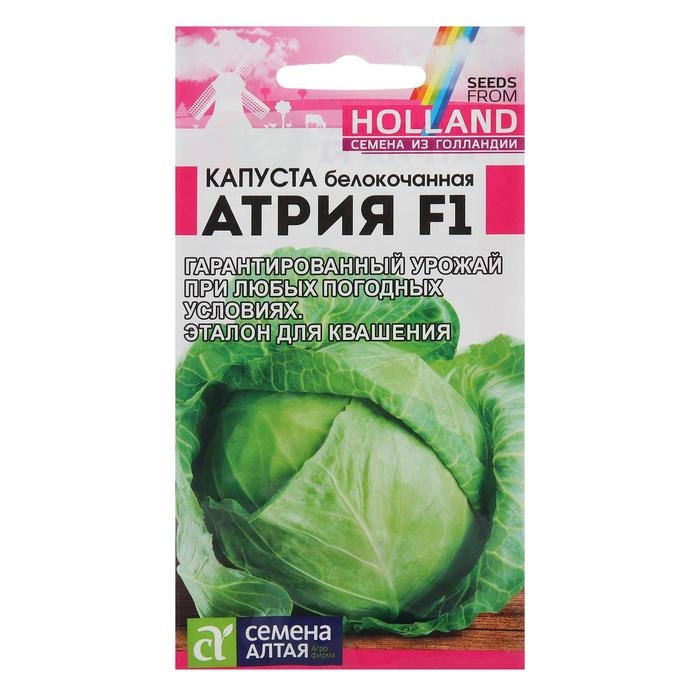 Семена Капусты белокочанной  Семена Капусты белокочанной "Атрия", F1, 12 шт.