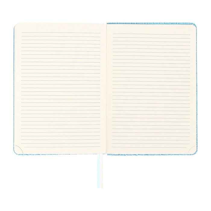 Ежедневник датированный 2025 года A5, 168 листов, deVENTE. Barbara, твердая обложка кожзам с поролоном, перфорацией, ляссе, блок 70, голубой Ежедневник датированный 2025 года A5, 168 листов, deVENTE. Barbara, твердая обложка кожзам с поролоном, перфорацией, ляссе, блок 70, голубой